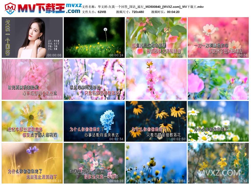 毕文婷-欠我一个回答_国语_流行_MD500840
